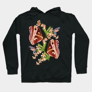 Silk Moth Hoodie